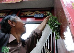 端午節(jié)是幾月幾號(hào) 端午節(jié)放幾天假 端午節(jié)是幾月幾號(hào) 端午節(jié)放幾天假