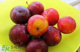 李子可以和西紅柿一起吃嗎？西紅柿和李子能同吃？