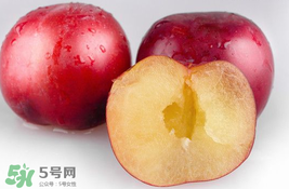 李子可以和西紅柿一起吃嗎？西紅柿和李子能同吃？