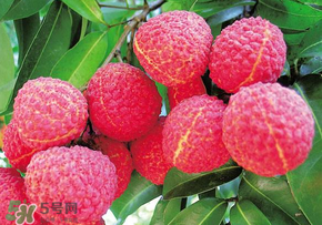 荔枝和蝦能一起吃嗎？荔枝與蝦同食會中毒嗎？