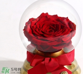 野獸派水晶球多少錢？野獸派水晶球音樂盒價(jià)格