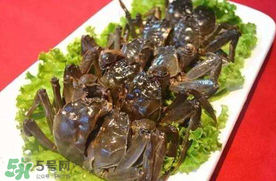 五月份有河蟹嗎？五月份河蟹有黃嗎？