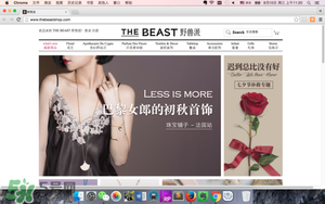 野獸派永生花多少錢？野獸派永生花專柜價格