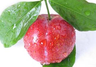 李子和牛奶能一起吃嗎？吃完李子可以喝牛奶嗎？