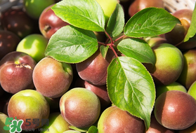 青梅可以減肥嗎？青梅減肥效果好嗎？