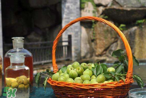 青梅可以直接吃嗎？剛摘下的青梅可以直接吃嗎?？