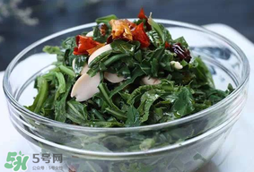 苦菜怎么保存？苦菜怎么保存時間長？