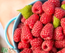 刺泡的熱量 刺泡可以減肥嗎？