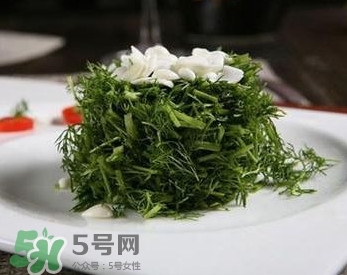 茴香菜怎么做好吃？茴香菜怎么炒好吃