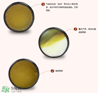 地球媽媽護(hù)臀膏能擦臉嗎？地球媽媽護(hù)臀膏可以擦臉用嗎？