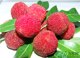 五月份有楊梅嗎？五月份的楊梅能吃嗎？