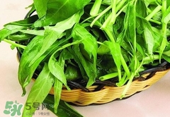 竹葉菜不能和什么一起吃?竹葉菜和什么食物相克? 竹葉菜不能和什么一起吃?竹葉菜和什么食物相克?