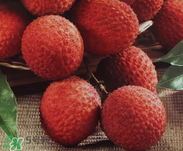 荔枝一天吃多少合適？荔枝一天最多吃幾個？