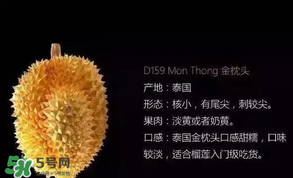 金枕頭和貓山王哪個(gè)好？金枕頭和貓山王的區(qū)別