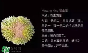 金枕頭和貓山王哪個(gè)好？金枕頭和貓山王的區(qū)別