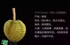 金枕頭和貓山王哪個(gè)好？金枕頭和貓山王的區(qū)別