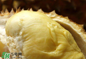 金枕頭榴蓮幾月份上市？金枕頭榴蓮什么時候上市？