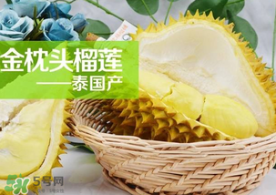 金枕頭榴蓮怎么才算熟？金枕頭榴蓮怎么催熟？