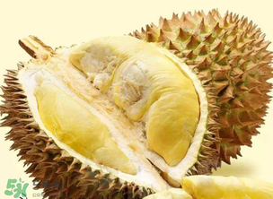 金枕頭榴蓮怎么才算熟？金枕頭榴蓮怎么催熟？