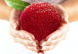 小滿吃什么水果？小滿吃哪些水果好？