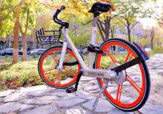 Ostelin和ddrops哪個(gè)好？Ostelin和ddrops的特點(diǎn)是什么？