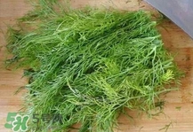 茴香菜是什么菜？茴香菜是香菜嗎