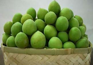 青梅果有什么好處？青梅果的功效與作用