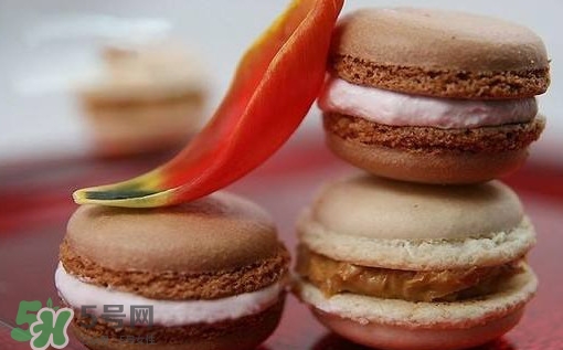 馬卡龍是什么意思？馬卡龍有什么寓意