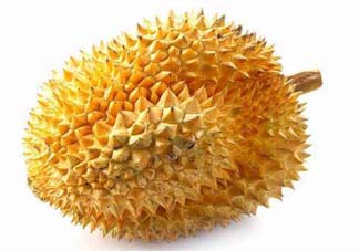 金枕頭和貓山王哪個好？金枕頭和貓山王的區(qū)別