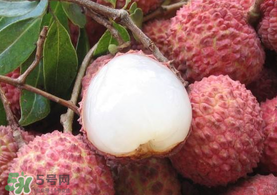 吃荔枝被酒駕怎么辦？吃荔枝酒駕是真的嗎？