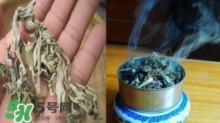 艾葉可以驅(qū)蚊子嗎？艾葉能驅(qū)蚊子嗎