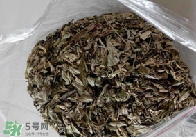 艾葉枕頭孕婦可以用嗎？艾葉枕頭小孩可以用嗎