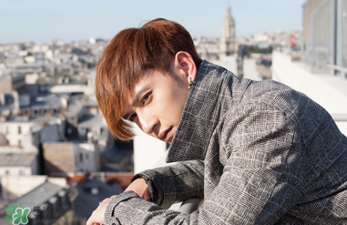 劉洲成被曝出軌 劉洲成出軌對象是誰？