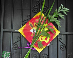 艾草掛門上是什么意思？艾草放門口什么作用？