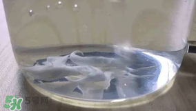 Thinkbaby防曬霜真假辨別 Thinkbaby防曬霜有假貨嗎？