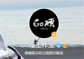 go硬工作室和卓偉有什么關(guān)系？go硬工作室是卓偉前員工成立的？