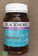 備孕可以吃見月草油膠囊嗎？孕婦可以吃見月草油膠囊嗎？