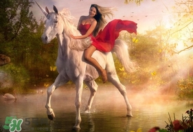 lime crime獨(dú)角獸眼影多少錢？獨(dú)角獸眼影專柜價(jià)格