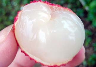 吃荔枝被酒駕怎么辦？吃荔枝酒駕是真的嗎？