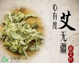 艾葉是艾蒿嗎？艾葉是什么樣的