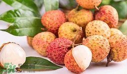 妃子笑荔枝是哪里出產(chǎn)的？妃子笑荔枝產(chǎn)地是哪里