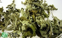 艾葉可以驅(qū)蚊子嗎？艾葉能驅(qū)蚊子嗎