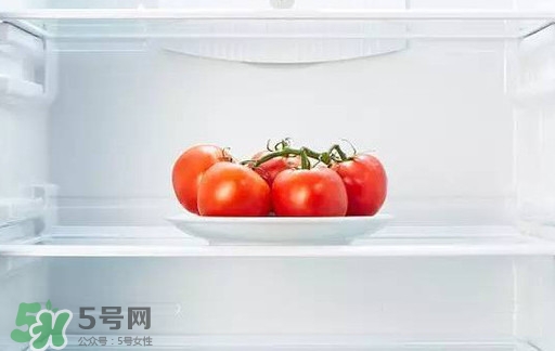 西紅柿能放冰箱冷藏嗎？西紅柿可以放冰箱保鮮嗎