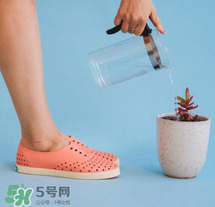 native鞋中文名稱是什么？native鞋中文怎么翻譯？