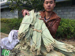 干粽葉怎么煮？干粽葉煮多久？