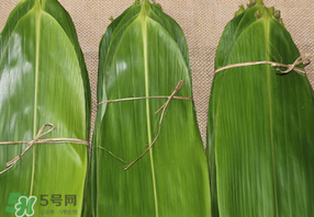 干粽葉要煮嗎？干粽葉到底是泡好還是煮好？