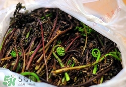 猴腿菜是發(fā)物嗎?猴腿菜孕婦可以吃嗎? 猴腿菜是發(fā)物嗎?猴腿菜孕婦可以吃嗎?