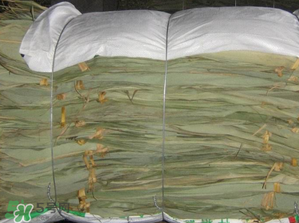 干粽葉怎么保存？干粽葉可以放冰箱嗎？