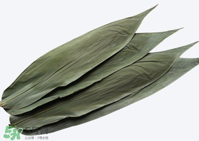 粽子葉怎么保存？粽葉怎么保存？