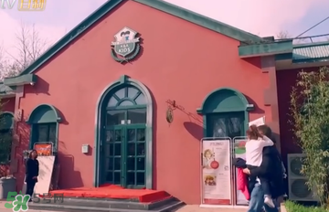 米雅上的幼兒園是哪一家？卡爾安娜國際兒童會館怎么樣？